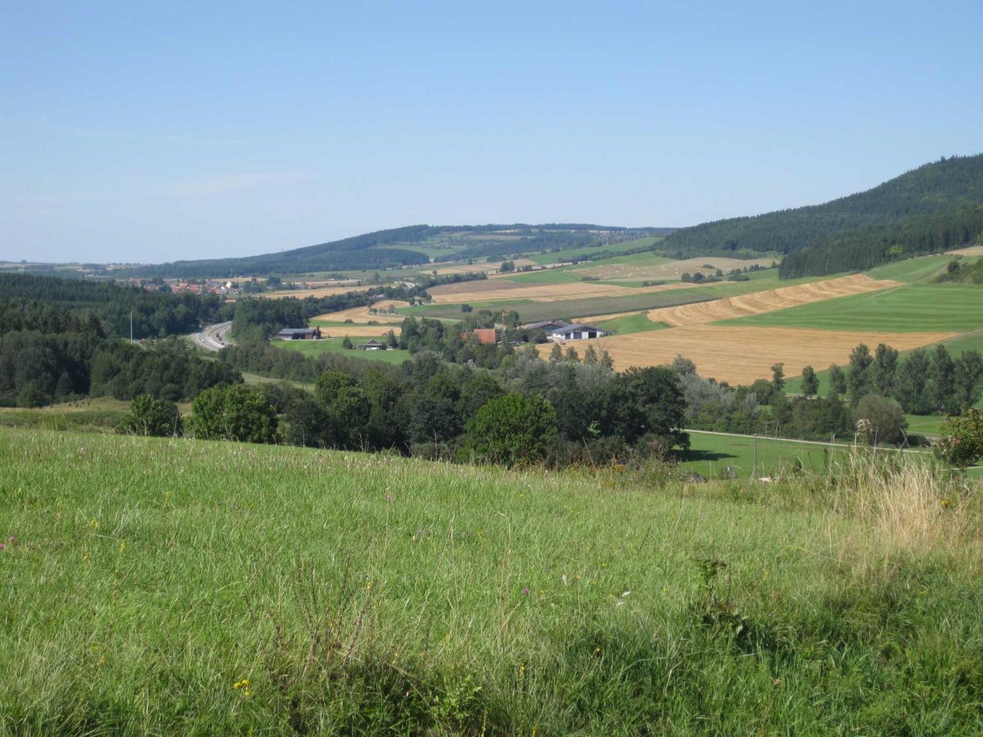 דירות Bräunlingen Haus Rehblick מראה חיצוני תמונה