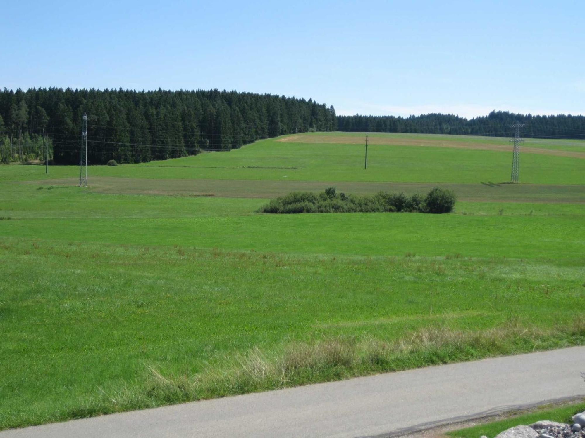 דירות Bräunlingen Haus Rehblick מראה חיצוני תמונה